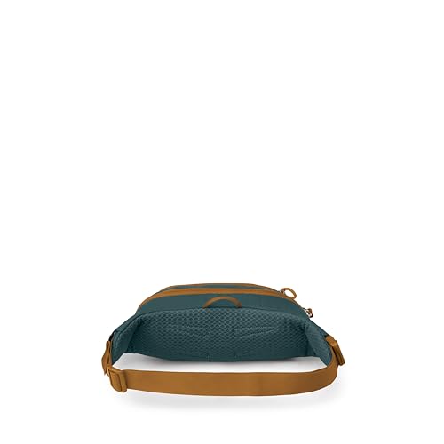 Osprey Daylite Waist Pack - Fanny Pack with Crossbody Shoulder Carry Option - Lightweight Hip Bag, Torrent Blue
