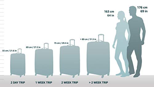 Rockland London Hardside Spinner Wheel Luggage, Silver, Carry-On 20-Inch