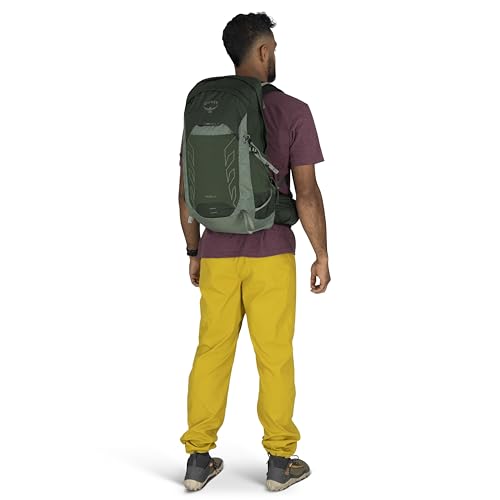 Osprey Talon 22L Men's Lightweight Hiking Backpack - Small Daypack for Travel & Camping, Green Canopy/Pine Leaf