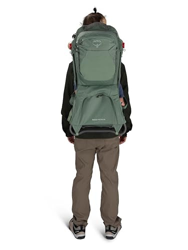 Osprey Poco Premium Child Carrier Backpack - Adjustable Travel Baby Seat with Sunshade - Hiking Carrier for Toddlers, Tidal Blue