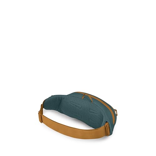 Osprey Daylite Waist Pack - Fanny Pack with Crossbody Shoulder Carry Option - Lightweight Hip Bag, Torrent Blue