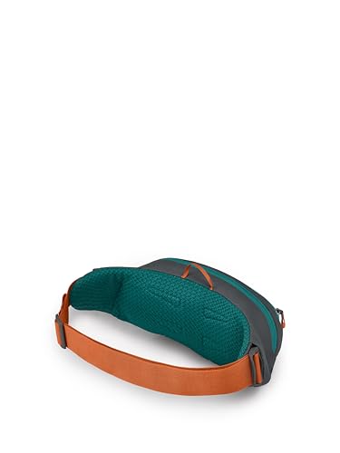 Osprey Daylite Waist Pack, Tumbleweed Yellow/Tunnel Vision