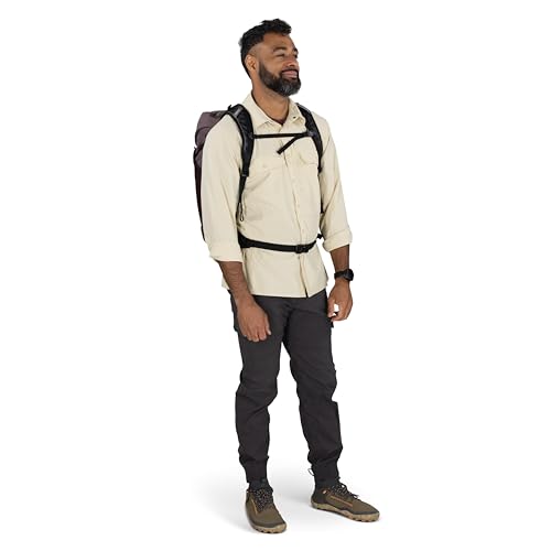Osprey Hikelite LT 30L Hiking Backpack - Lightweight Travel Daypack with Rain Cover for Men and Women, Black