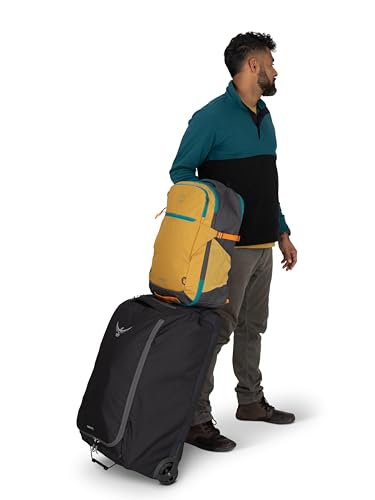 Osprey Daylite 35L Travel Pack – Lightweight and Versatile Carry-On Backpack for Weekend Travel, Hiking, or Daily Commute – Durable, Streamlined Design with Ample Storage, Blue Spikemoss/Alkaline