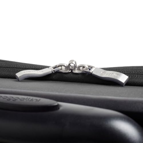 Baggallini 4 Wheel Carry-On
