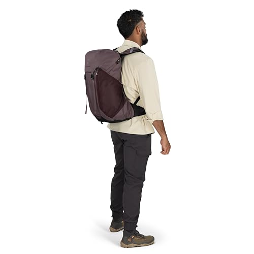 Osprey Hikelite LT 30L Hiking Backpack - Lightweight Travel Daypack with Rain Cover for Men and Women, Black