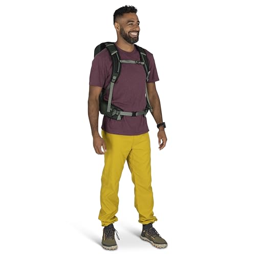 Osprey Talon 22L Men's Lightweight Hiking Backpack - Small Daypack for Travel & Camping, Green Canopy/Pine Leaf