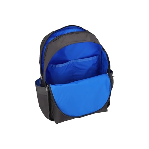 LeSportsac Route Backpack (Thunder)