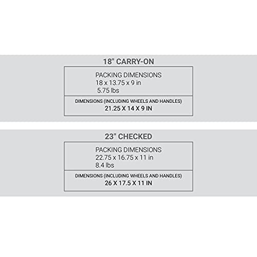 SwissGear 3750 Hardside Luggage with Spinner Wheels, Silver, 2-Piece Set (18.5/23)