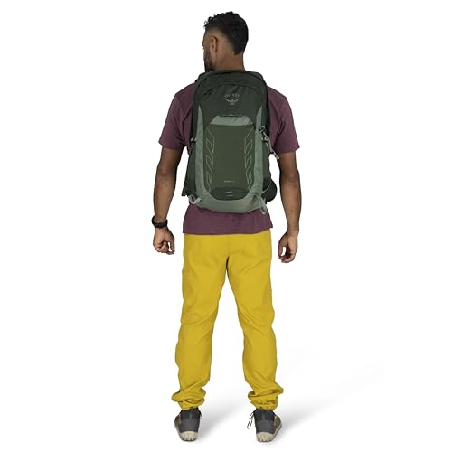Osprey Talon 22L Men's Lightweight Hiking Backpack - Small Daypack for Travel & Camping, Green Canopy/Pine Leaf