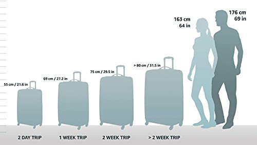 Rockland Melbourne Hardside Expandable Spinner Wheel Luggage, Carry-On 20", Charcoal