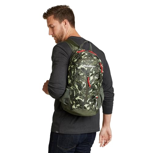 Eddie Bauer Stowaway Packable Backpack | Travel | Outdoor | Lightweight | Foldable | Durable | Ripstop Polyester | 20L - Spruce Green