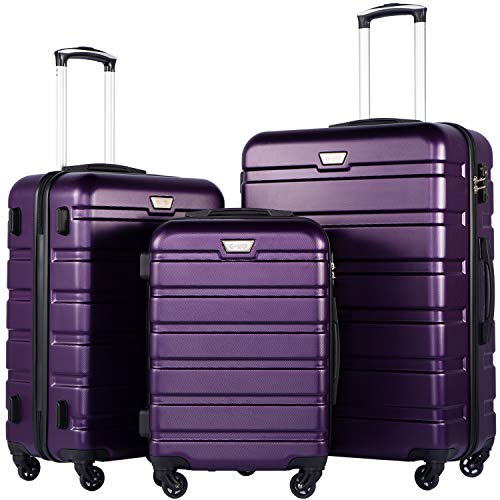 Coolife Luggage 3 Piece Set, Lightweight Durable Hardshell Suitcase set with 360° Spinner Wheels, TSA-approved Lock, Checked Family Travel Luggage sets, 20/24/28 Inch, Purple