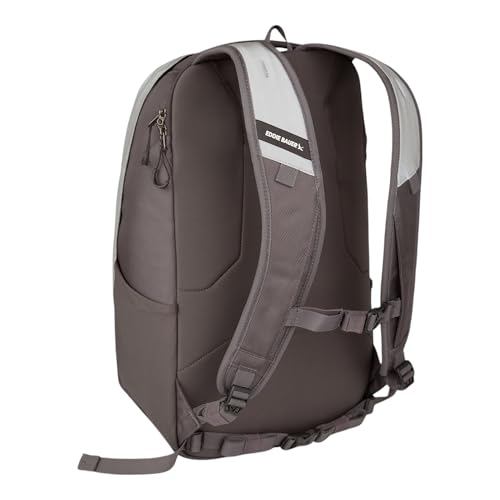 Eddie Bauer High Beam Backpack | Travel | Daypack | Commuter | Laptop Sleeve | Reflective | Outdoor | 30L Volume | Silver
