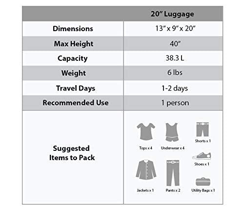 Rockland Safari Hardside Spinner Wheel Luggage, Carry-on 20", Leopard