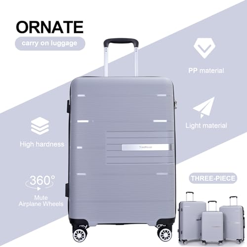 Tripcomp Luggage 3 Piece Sets Suitcase Set with Double Spinner Wheels, Lightweight Carry On Hardside Travel Luggage with TSA Lock, (20/24/28) (Silver)
