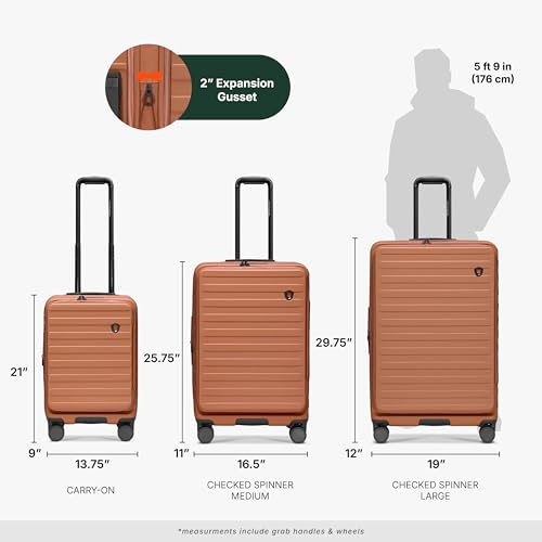 Traveler's Choice Novia Top Opening Expandable Polycarbonate Luggage with Spinner Wheels, Autumn Leaves, 21-Inch Carry-on