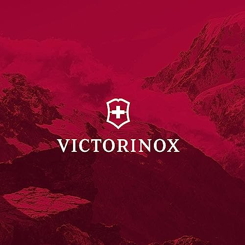 Victorinox VX Sport EVO Deluxe Backpack - Modern Backpack to Carry Travel Accessories - Includes Airflow Channels & Adjustable Straps - 28 Liters, Black