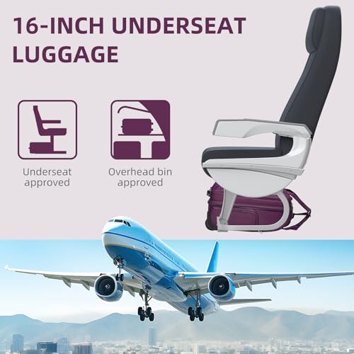 LARVENDER Softside Carry On Luggage 4 Piece, Expandable Carry On Luggage 22x14x9 Airline Approved Underseat Suitcase with Spinner Wheels TSA Lock, Purple (16/20/BP/TB)