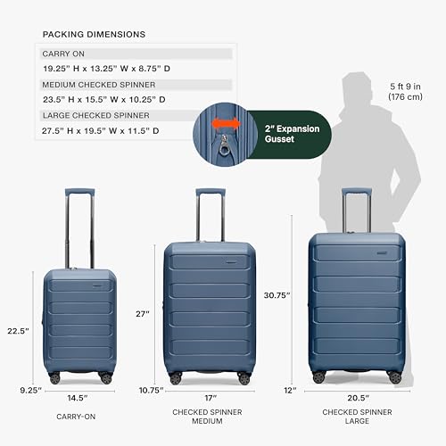 Traveler's Choice Pagosa Hardshell Expandable Luggage with Spinner Wheels, Slate Blue, 22-Inch Carry-on