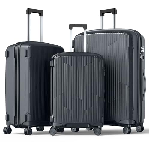 Nazhura Luggage Set, 3-Piece Hardside Suitcase Set, 20-inch Carry On, 24-inch, 28-inch Luggage (Grey)