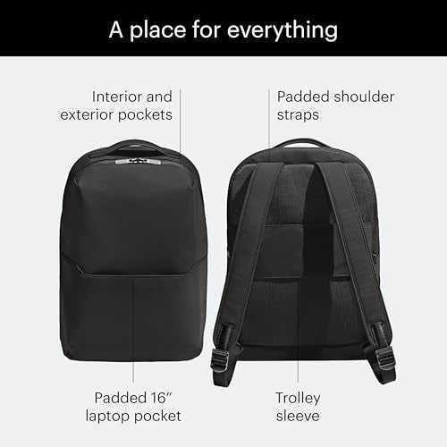 Away The Everywhere Zip Backpack - Personal Item Airline Approved Backpack with 16” Padded Laptop Sleeve, Water Bottle Pocket, Interior and Exterior Pockets - Fits Up to 16-Inch Laptops - Jet Black