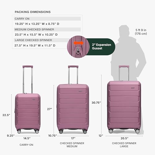 Traveler's Choice Pagosa Hardshell Expandable Luggage with Spinner Wheels, Mauve, 30-Inch Large