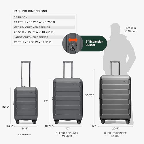 Traveler's Choice Pagosa Hardshell Expandable Luggage with Spinner Wheels, Gray, 22-Inch Carry-on