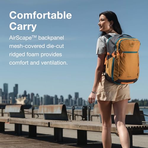 Osprey Daylite 35L Travel Pack – Lightweight and Versatile Carry-On Backpack for Weekend Travel, Hiking, or Daily Commute – Durable, Streamlined Design with Ample Storage, Blue Spikemoss/Alkaline