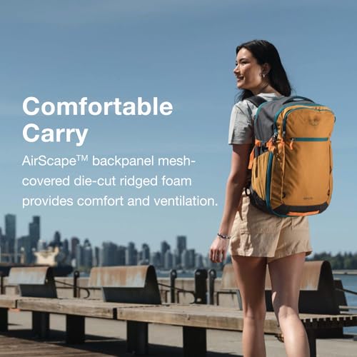Osprey Daylite 35L Travel Pack – Lightweight and Versatile Carry-On Backpack for Weekend Travel, Hiking, or Daily Commute – Durable, Streamlined Design with Ample Storage, Night Shift Blue