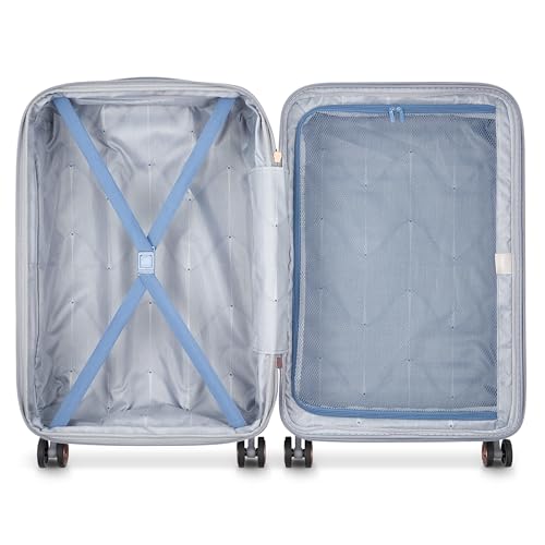 DELSEY PARIS Cruise 3.0 Hardside Expandable Luggage with Spinner Wheels, Platinum, Checked-Medium 24 Inch