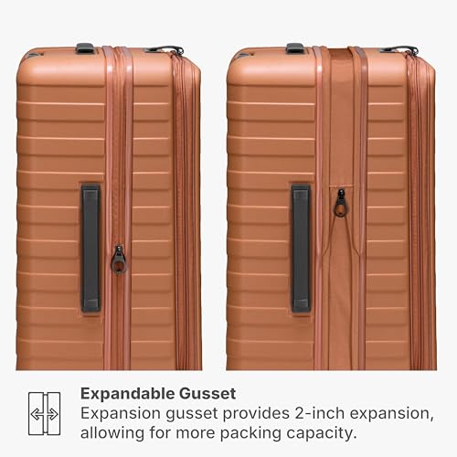 Traveler's Choice Novia Top Opening Expandable Polycarbonate Luggage with Spinner Wheels, Autumn Leaves, 21-Inch Carry-on