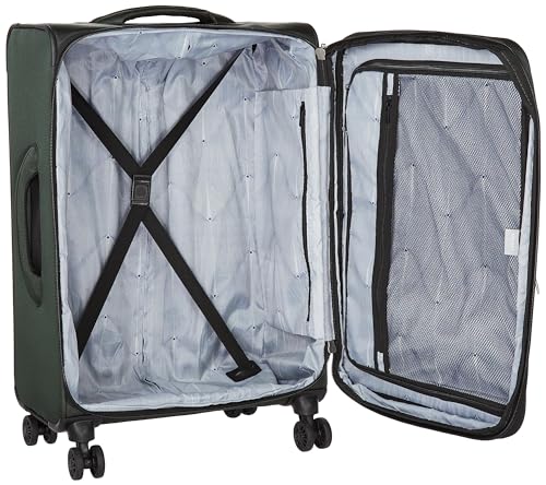 DELSEY PARIS Sky Max 2.0 Softside Expandable Luggage with Spinner Wheels, Green, Carry-on 21 Inch