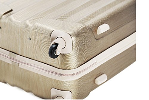 Rockland Santa Fe Hardside Spinner Wheel Luggage Set, Bronze, 3-Piece Set (20/24/28)