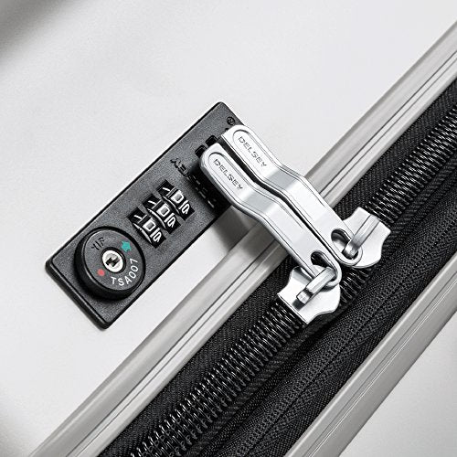 DELSEY PARIS Titanium Hardside Expandable Luggage with Spinner Wheels Checked Luggage, Silver, Checked-Medium 25 Inch