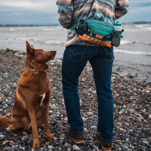 Wilderdog Mega Hip Pack with 3-Liter Capacity, Two Mesh Water Bottle Pockets, Interior Key Loops, Adjustable Straps, and Poop Bag Dispenser (Huckleberry)