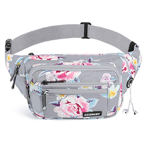 CXWMZY Fanny Packs For Women & Men Waist Pack Hip Bum Bag with Multi-Pockets Large Capacity Waterproof , for Disney Traveling Casual Cycling Running Hiking