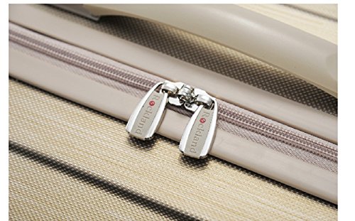 Rockland Santa Fe Hardside Spinner Wheel Luggage Set, Bronze, 3-Piece Set (20/24/28)