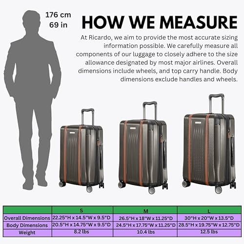 Ricardo Beverly Hills Montecito 2.0 Hardside with Dual Spinning Wheels, Expandable with Comfort Grip for Easy Packing and Moving, Men and Women, Graphite, Check-In Large 29-Inch