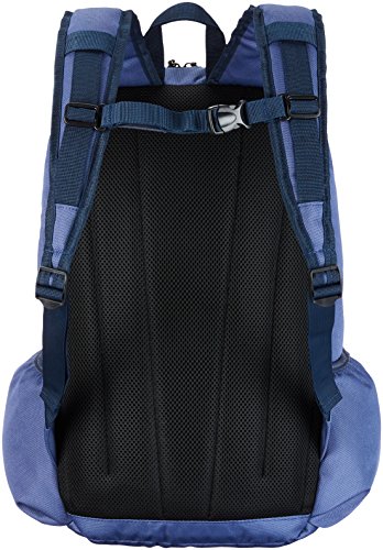 Amazon Basics Canvas Laptop Backpack Bag for up to 15 Inch Laptops - Graphite