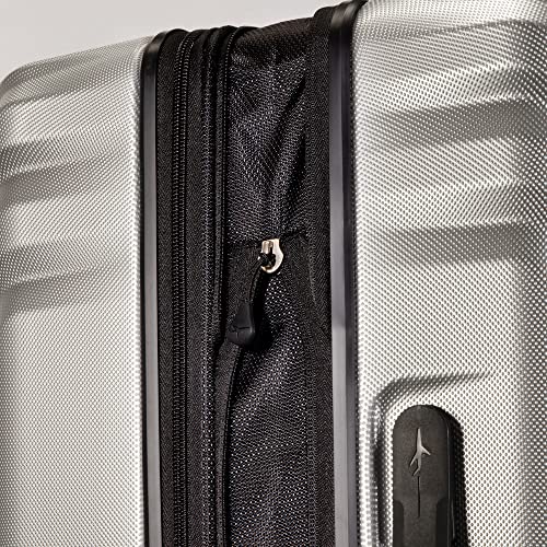 SKYWAY Skyway Nimbus 4.0 Hardside Spinner Luggage (Shiny Silver, Carry-On 20-Inch) (49M-20)