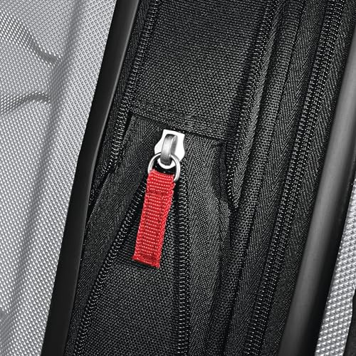 Samsonite Omni PC Hardside Expandable Luggage with Spinner Wheels, Silver, 2-Piece Set (20/24)