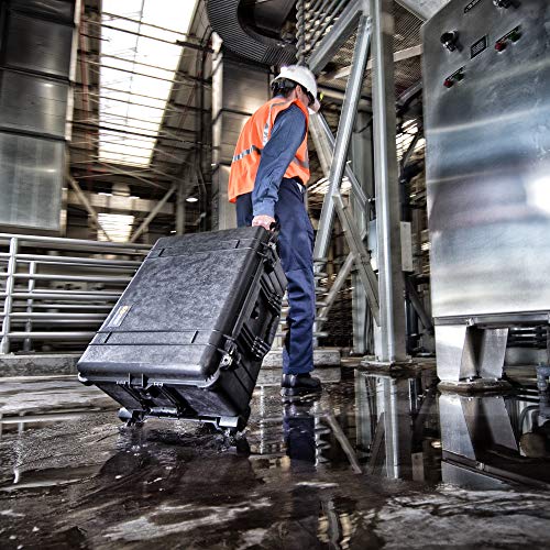 Pelican 1650 Case No Foam (Black)