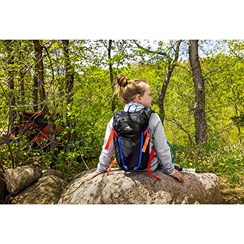 High Sierra HydraHike Youth, Curious, 8L