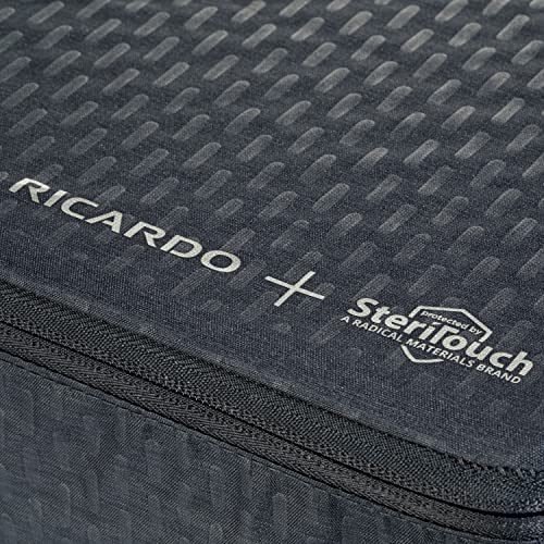 Ricardo Beverly Hills Packing Travel Essentials 5.0 (Graphite, 12" Deluxe Organizer)