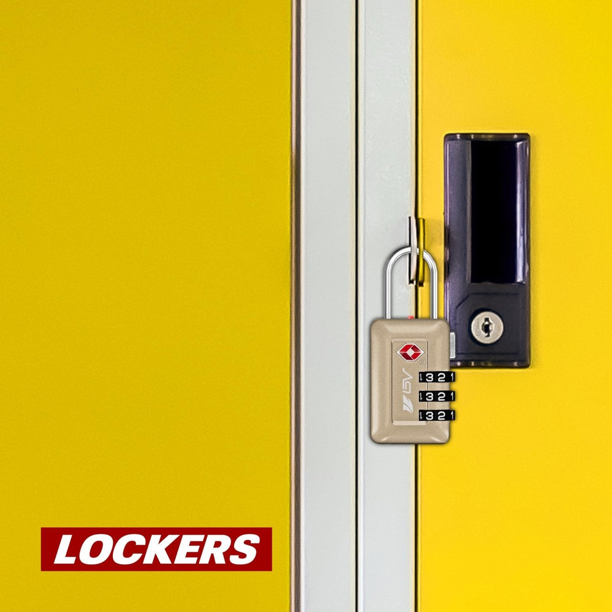 BV TSA Accepted Luggage Travel Lock, Set - Your - Own Combination Lock for School Gym Locker, Luggage Suitcase Baggage Locks, Filing Cabinets, Toolbox, Case (Champagne Gold, 2 Pack)