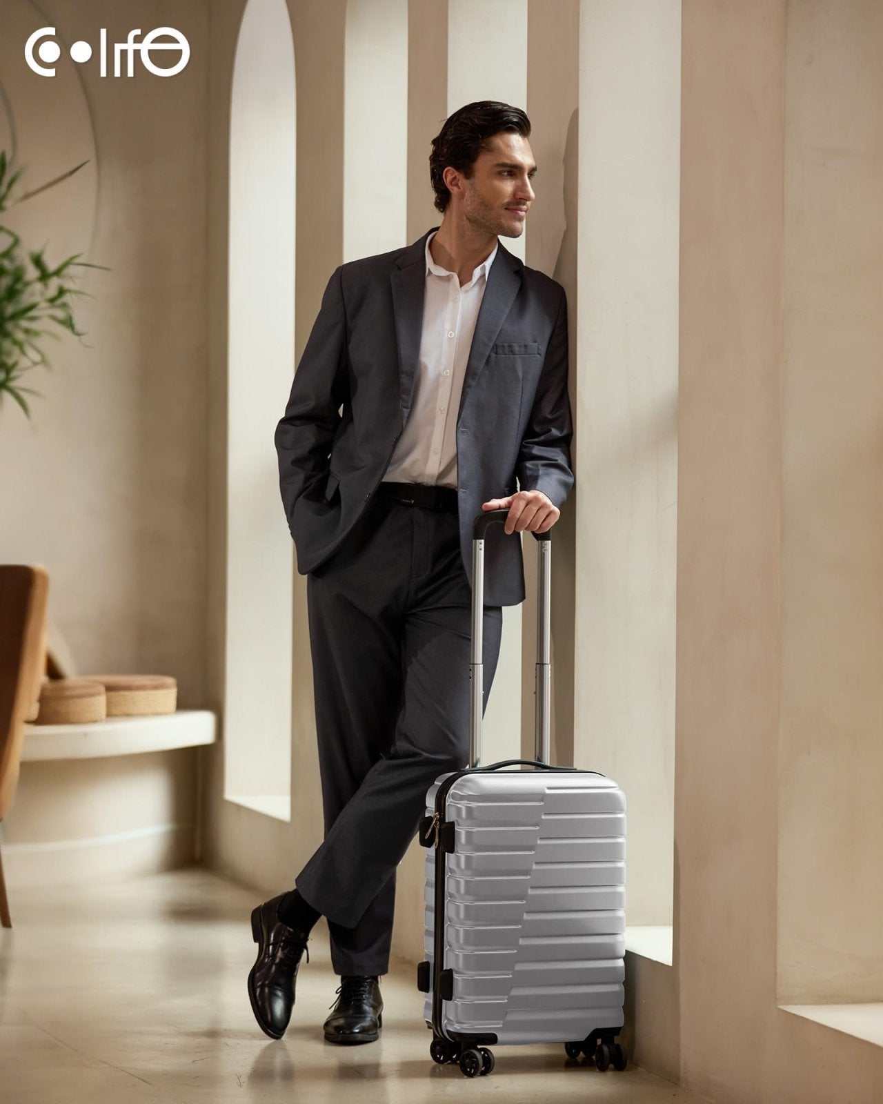 Coolife Carry On Luggage Airline Approved with Wheels Hard Shell Suitcase Spinner TSA Lock Telescopic Handle 20 - inch,Silver