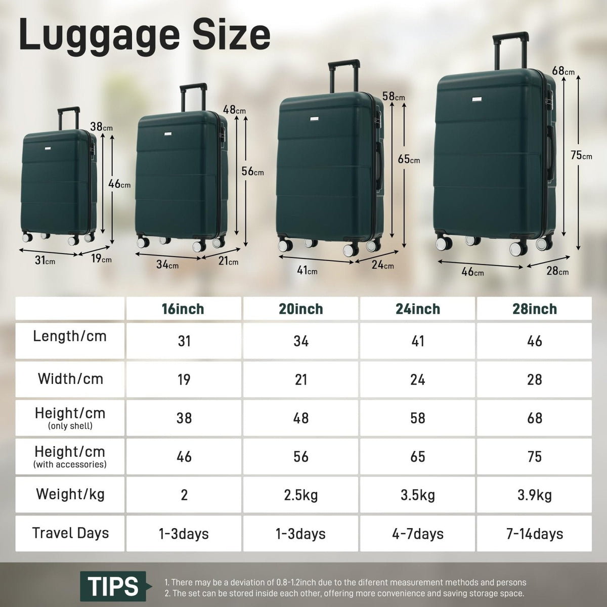 Merax Hardshell Luggage Sets 6 Piece with 2 Bags,Carry on Suitcase with Handle Password Lock Double Spinner Wheels, Lightweight 16"+20"+24"+28" Luggages, Dark Green
