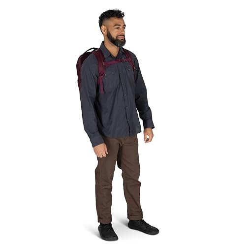 Osprey Ozone Laptop Backpack with Ventilated AirScape™ Backpanel - Lightweight Travel Backpack with 16” Laptop Sleeve - Carry - On Compatible Travel Bag for Men and Women, Black