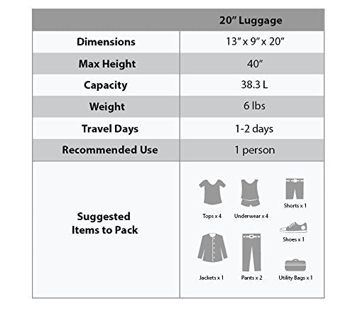 Rockland Safari Hardside Spinner Wheel Luggage, Zebra, Carry - On 20 - Inch